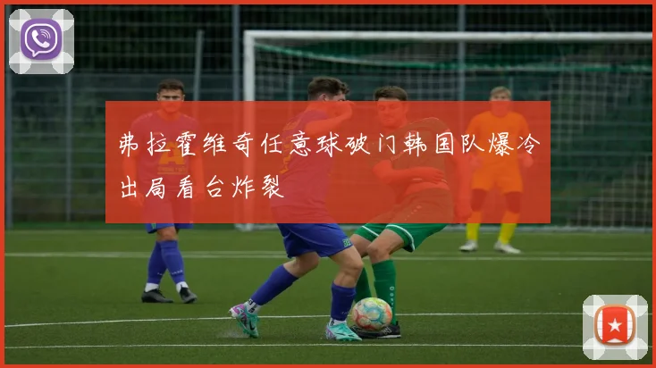 弗拉霍维奇任意球破门韩国队爆冷出局看台炸裂