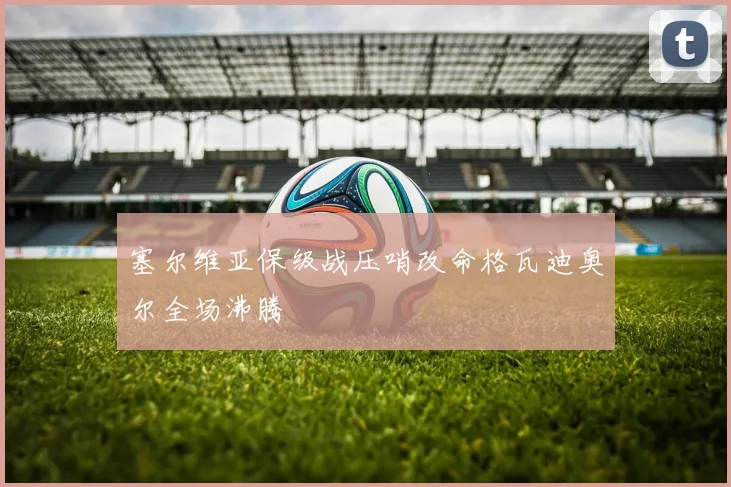 塞尔维亚保级战压哨改命格瓦迪奥尔全场沸腾