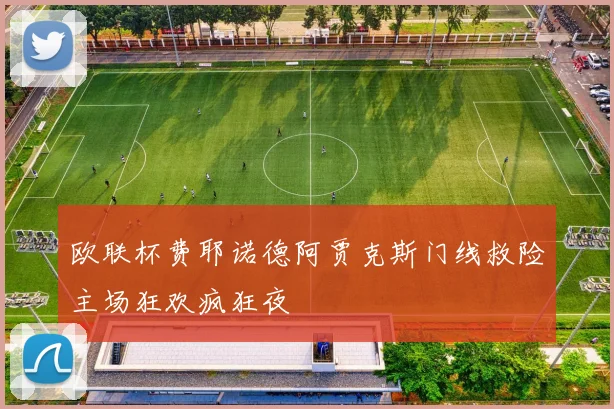 欧联杯费耶诺德阿贾克斯门线救险主场狂欢疯狂夜