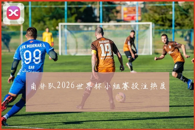 南非队2026世界杯小组赛投注热度