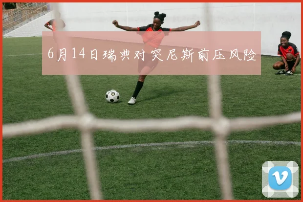 6月14日瑞典对突尼斯前压风险