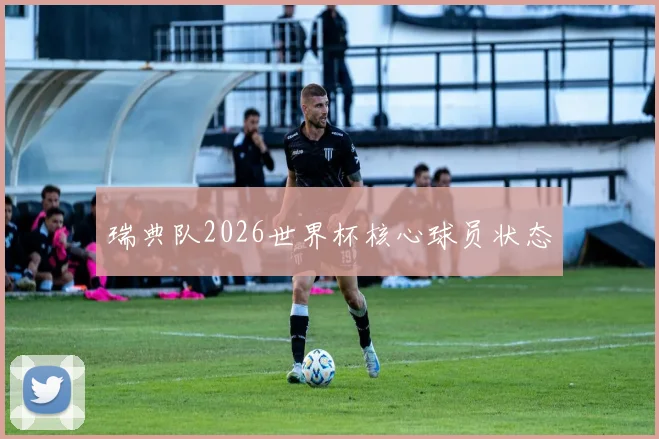 瑞典队2026世界杯核心球员状态