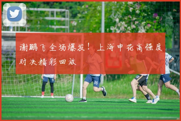 谢鹏飞全场爆发！上海申花高强度对决精彩回放