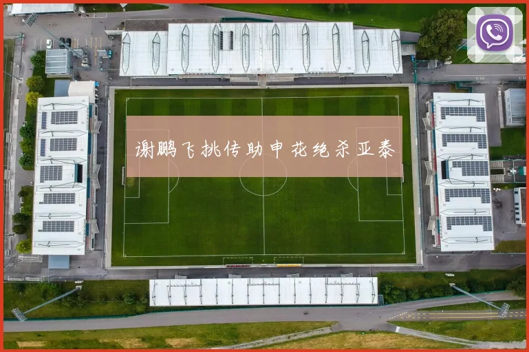 谢鹏飞挑传助申花绝杀亚泰