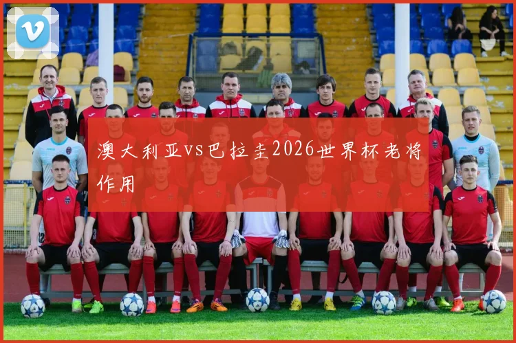 澳大利亚vs巴拉圭2026世界杯老将作用