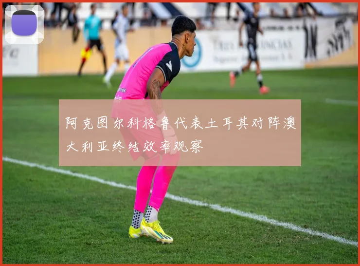 阿克图尔科格鲁代表土耳其对阵澳大利亚终结效率观察